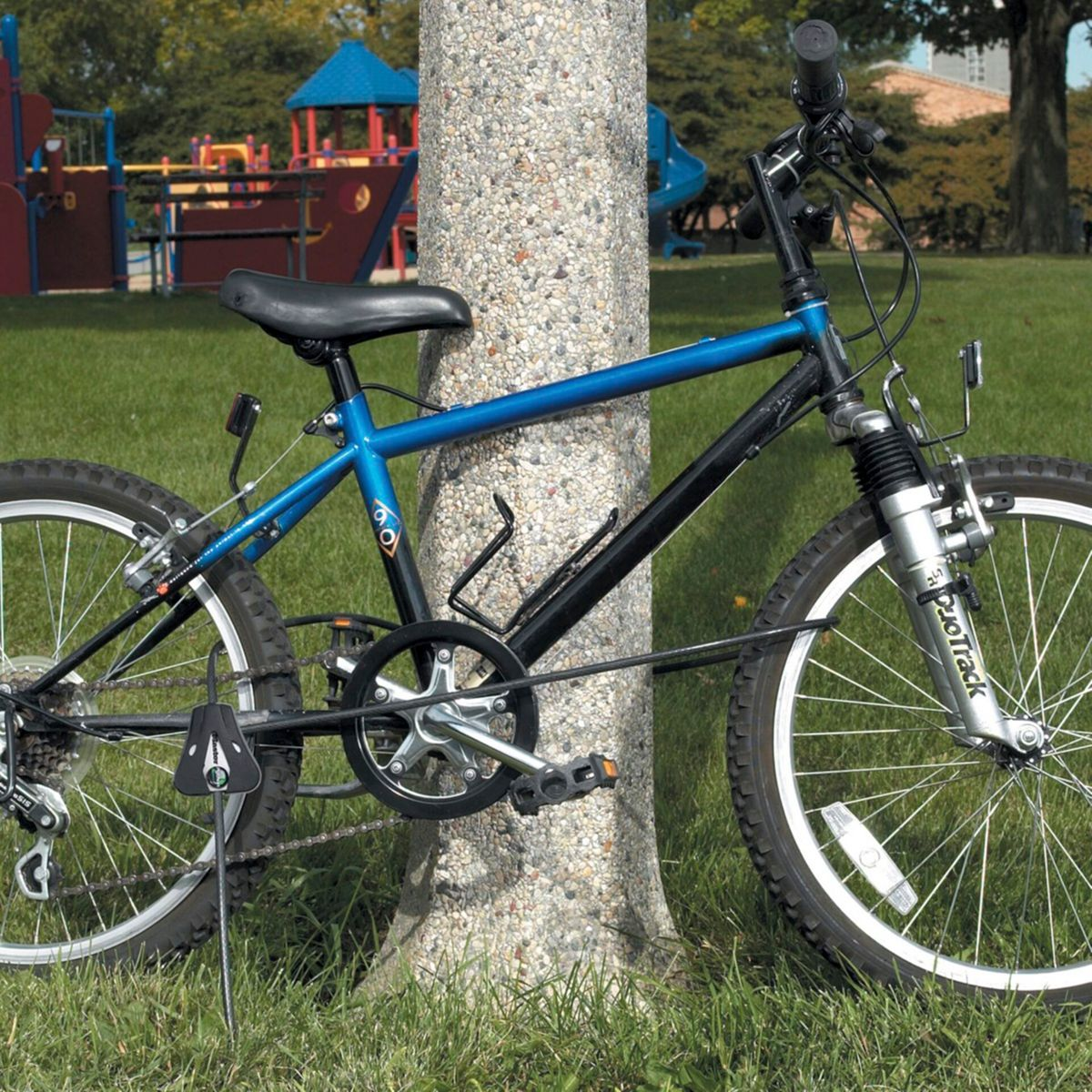 Ein blau-schwarzes Fahrrad ist mit einem Ständer an einem Baumstamm befestigt.