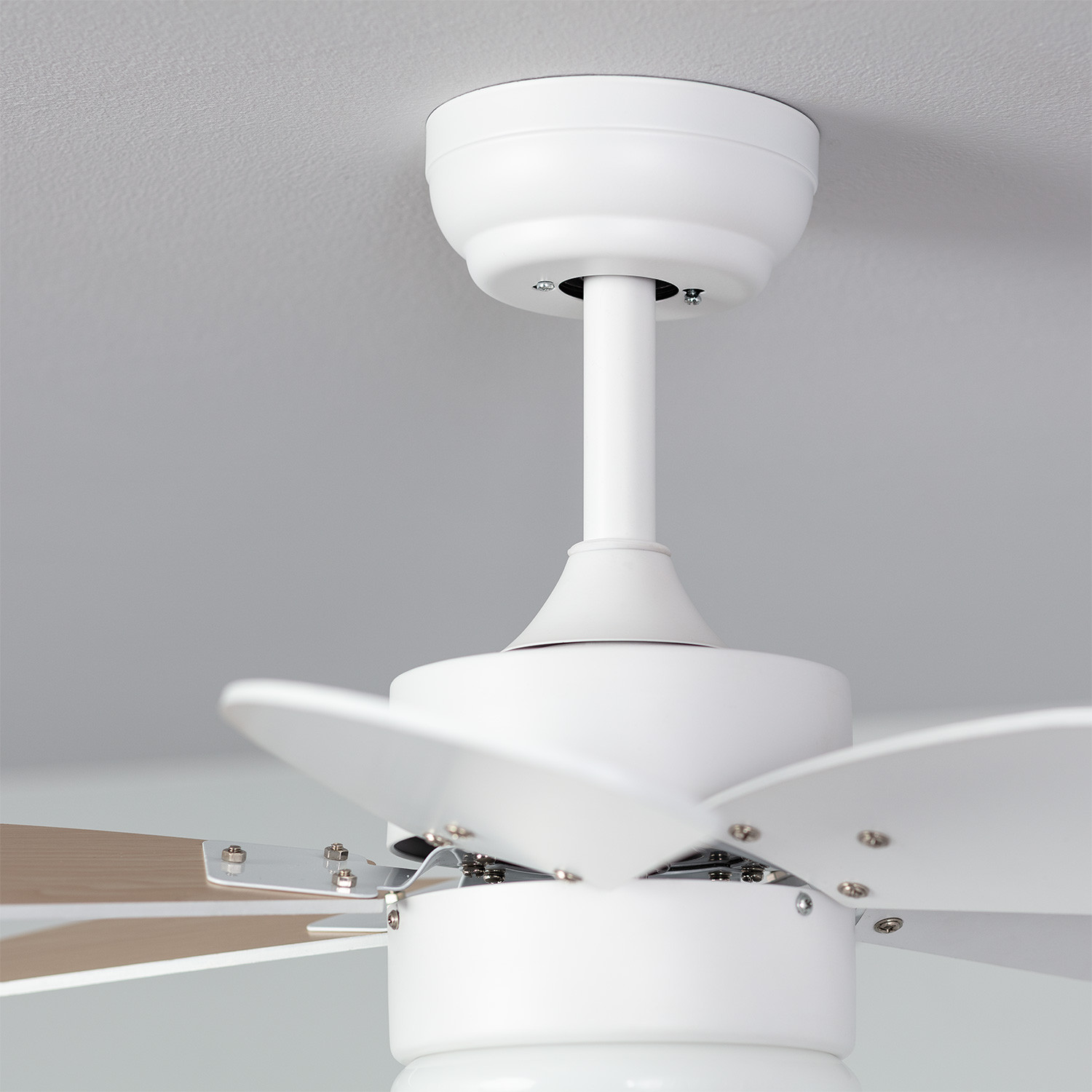 Primo piano di un ventilatore da soffitto bianco dal basso, pale visibili.