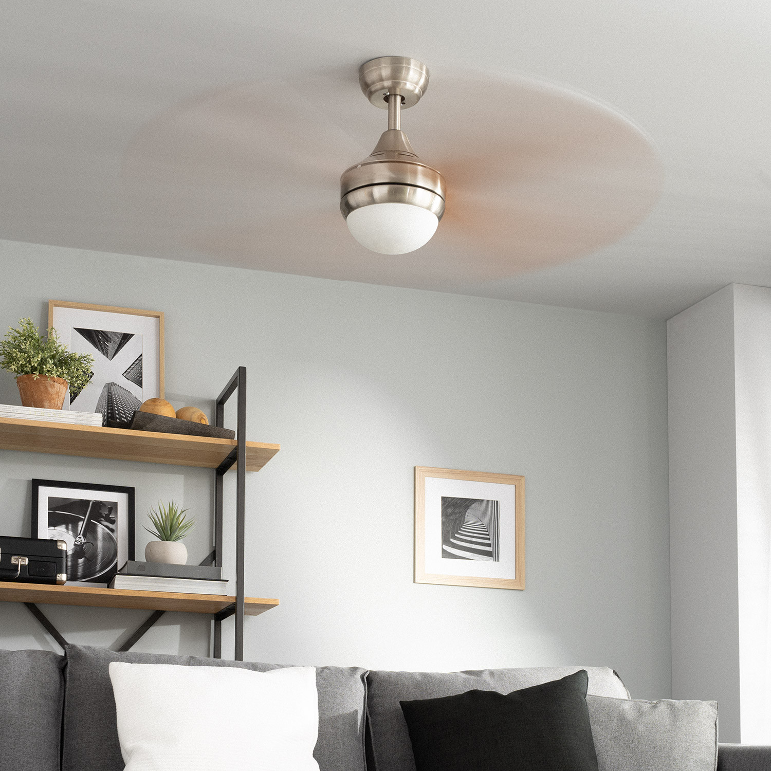 Ventilatore a soffitto in una stanza con divano, quadri e una pianta. Il ventilatore è in movimento.