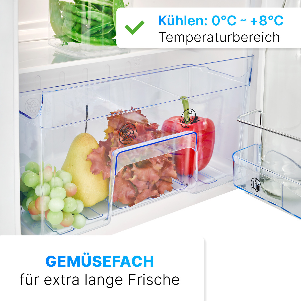 Wnętrze lodówki: przechowywanie produktów z owocami, warzywami i etykietami tekstowymi.