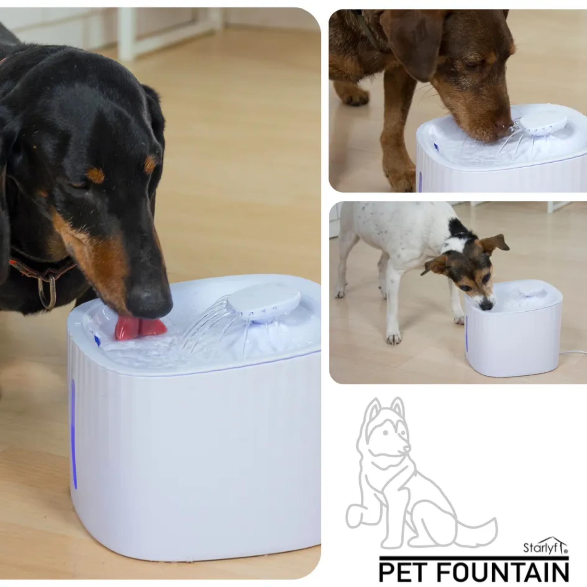 Hunde trinken aus einem weißen Haustierbrunnen. Wasser fließt. Zusätzliche Bilder und Logo.