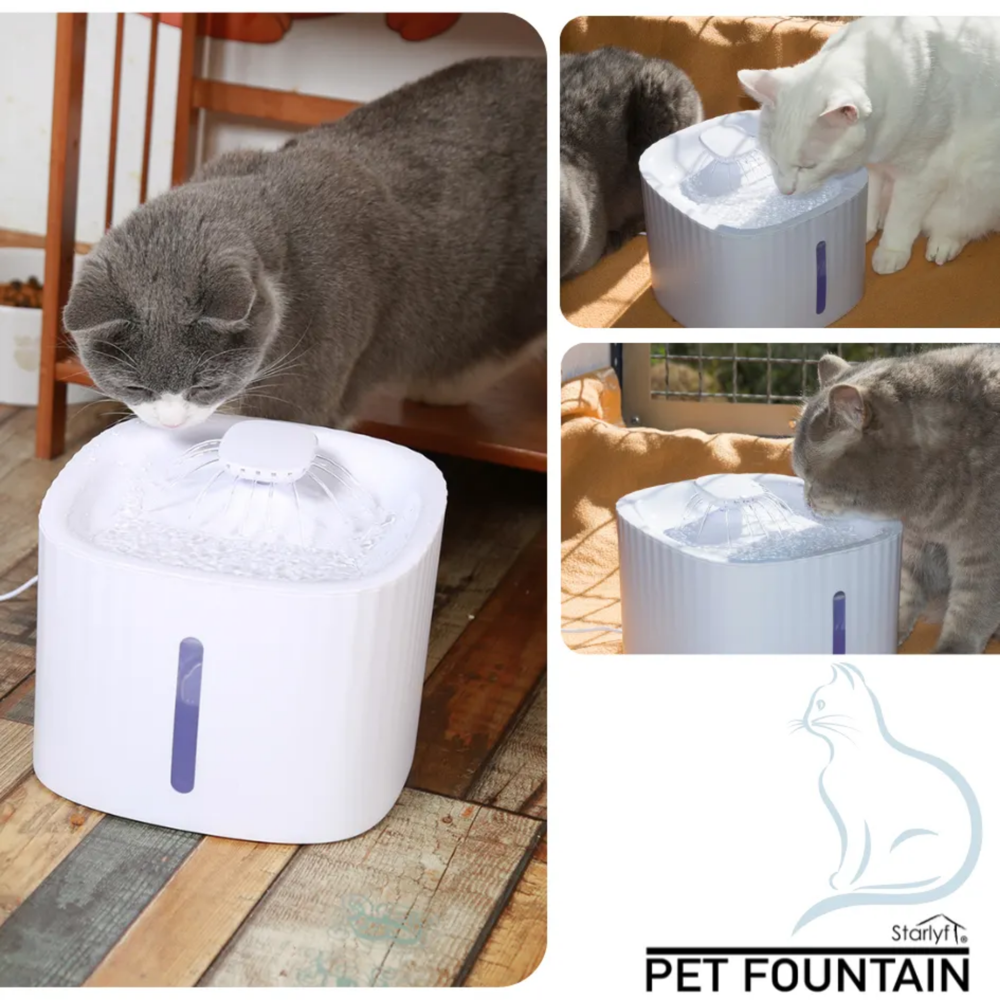 Katzen trinken aus einem Haustier-Wasserbrunnen mit mehreren Ansichten.