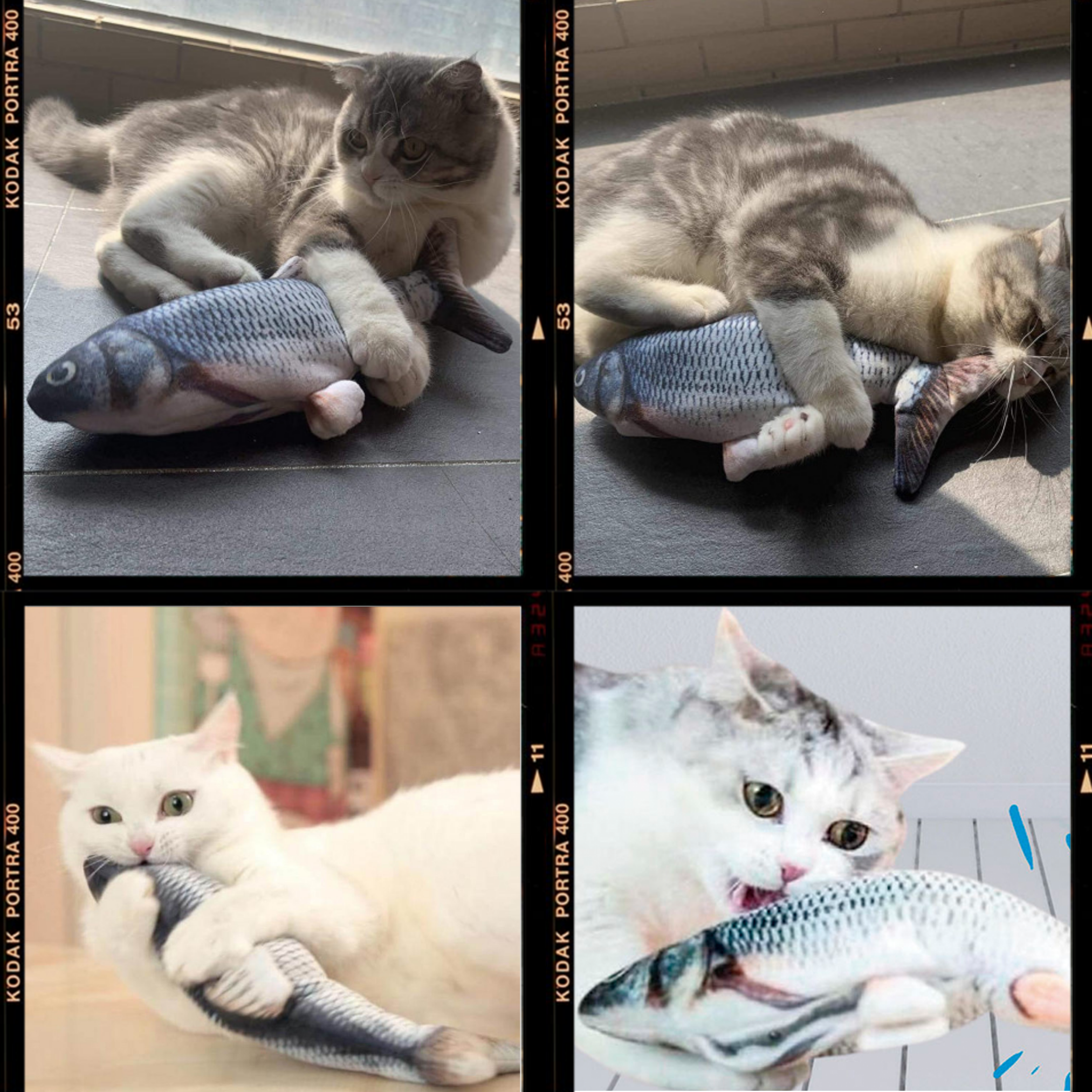 Katzen spielen mit Spielzeugfischen. Katzen in verschiedenen Posen, halten und beißen Spielzeugfische.