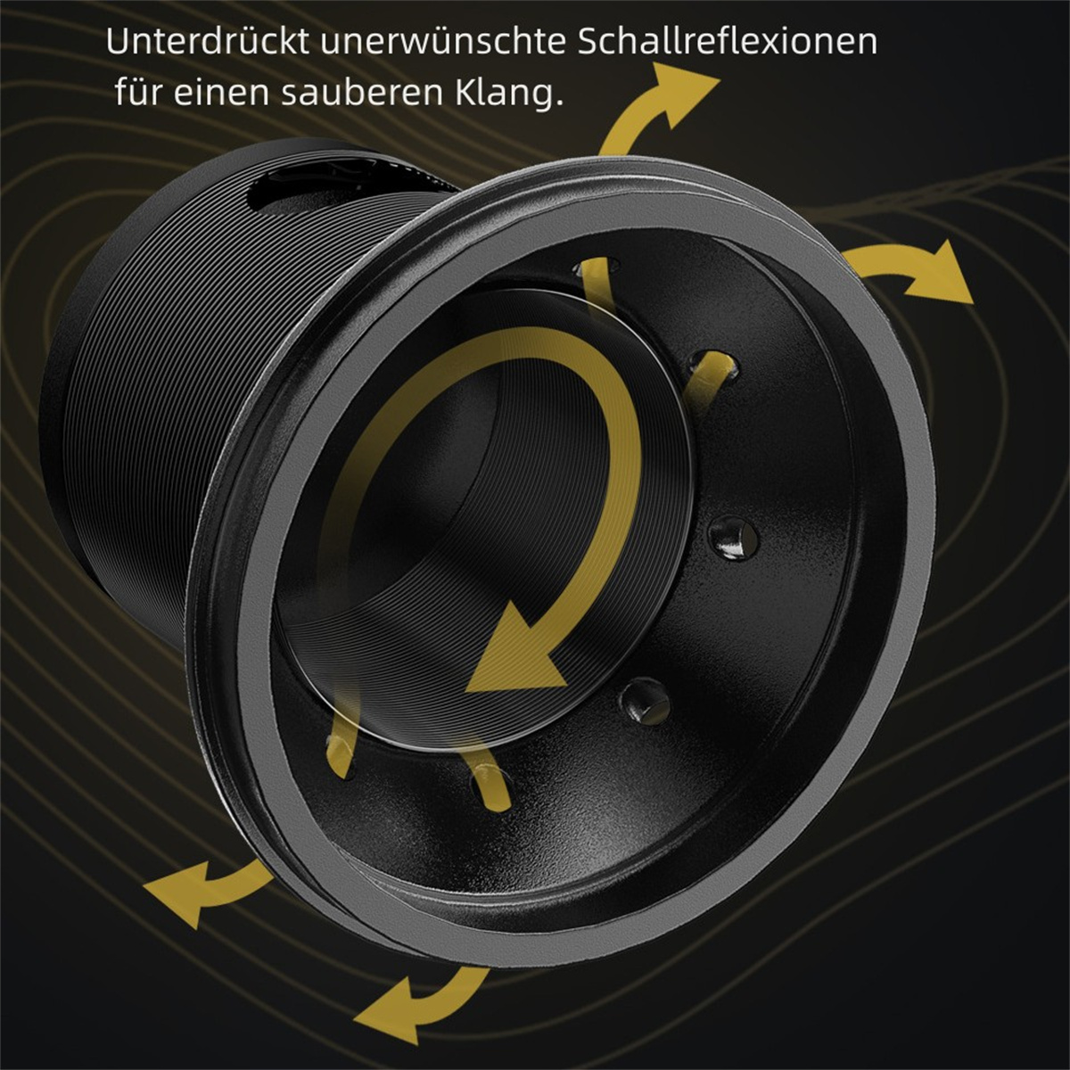 Schwarzes Gerät mit Pfeilen. Text: Unterdrückt unerwünschte Schallreflexionen.