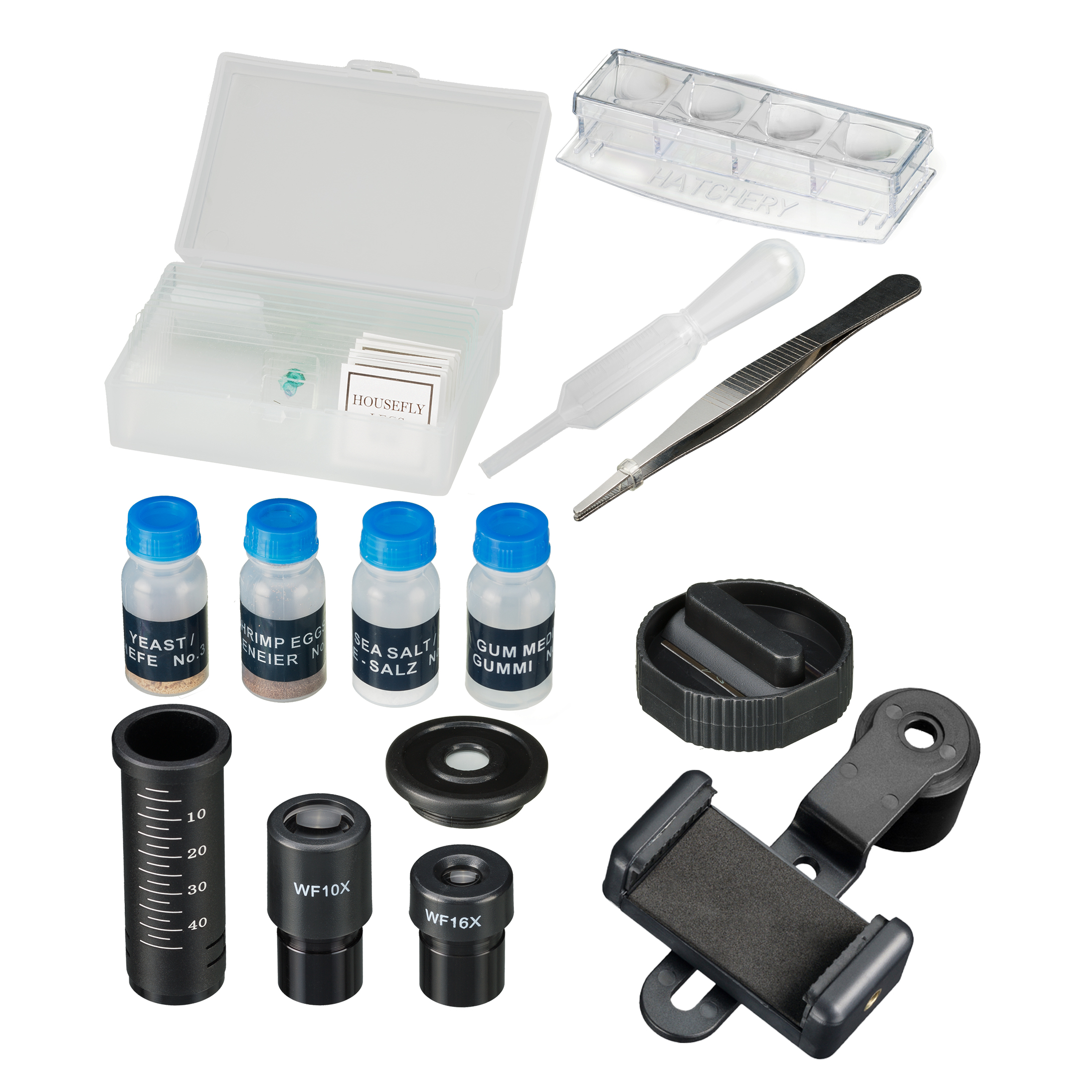 Kit de microscopio con portaobjetos, frascos y herramientas. Fondo: superficie blanca.