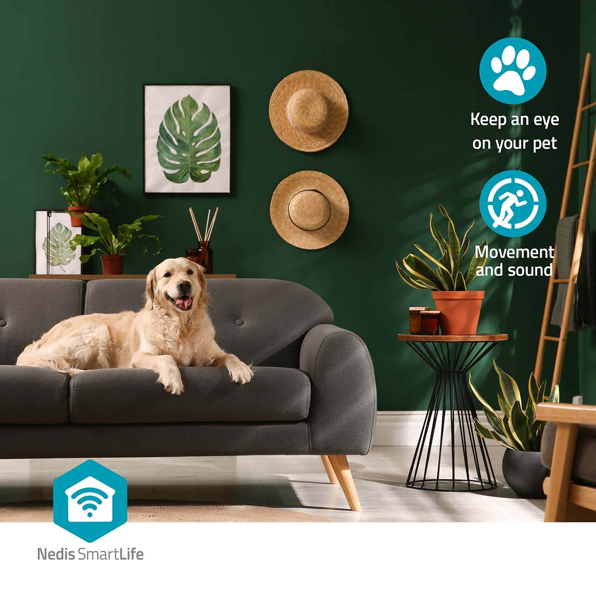 Golden retriever na kanapie, z ikonami inteligentnego domu i zielonym tłem ściany.