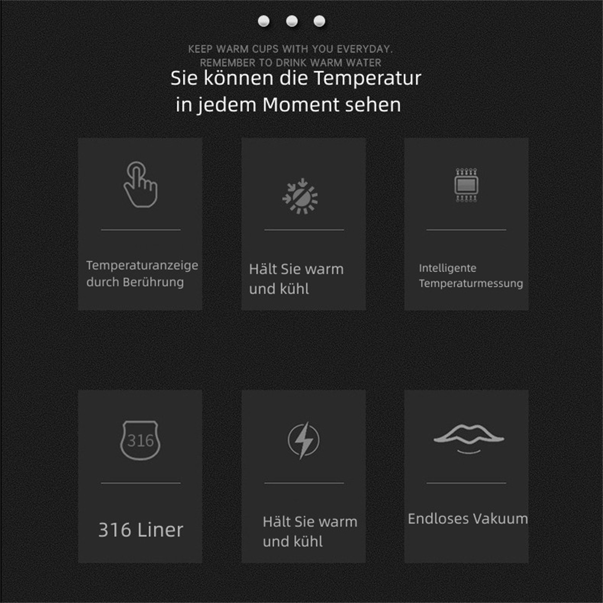 Sechs Symbole, die Temperaturkontrolle darstellen, mit Text auf Deutsch.