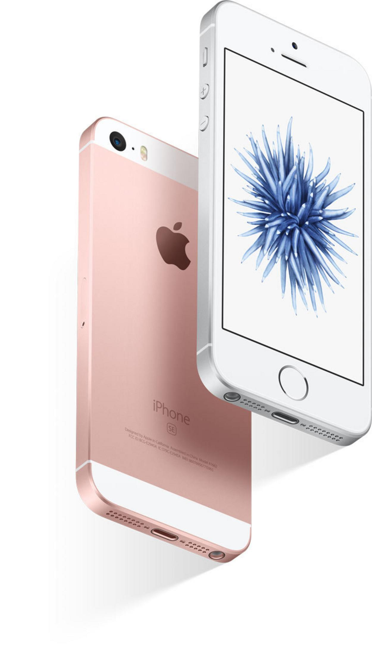 Zwei roségoldene und weiße iPhones, eines zeigt eine blaue Blume auf dem Bildschirm.