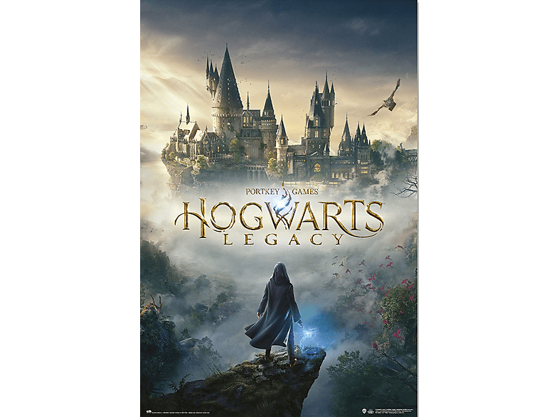 Hogwarts Potter Legacy Harry -