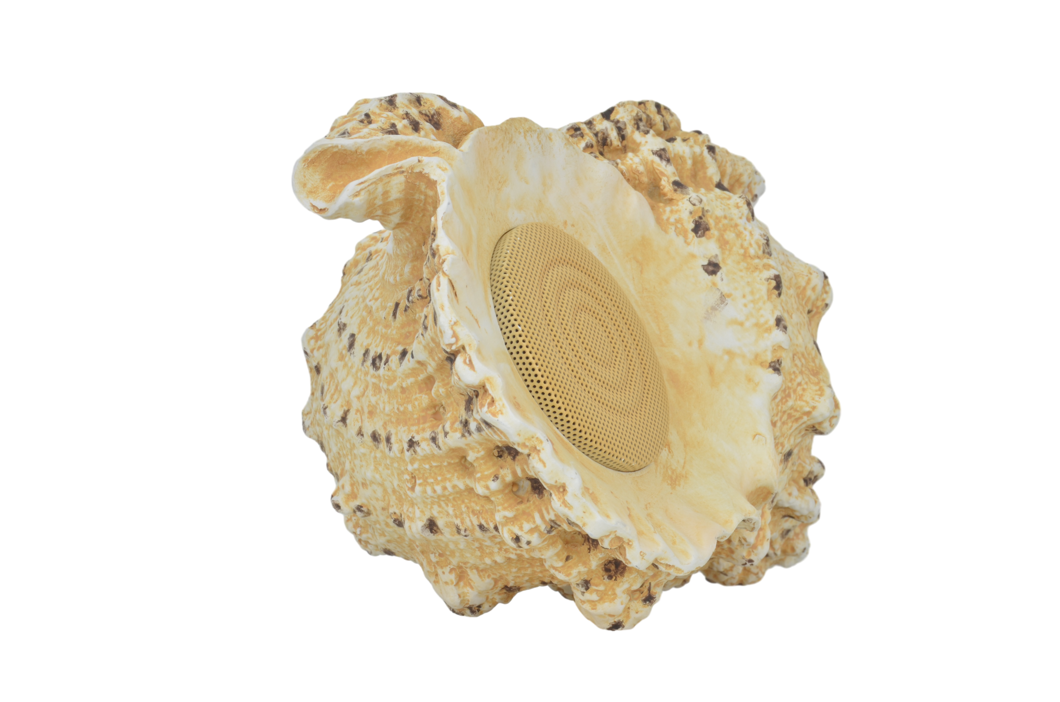 Ein muschelförmiger Lautsprecher, mit einem Lautsprechergitter in der Mitte, vor schwarzem Hintergrund.