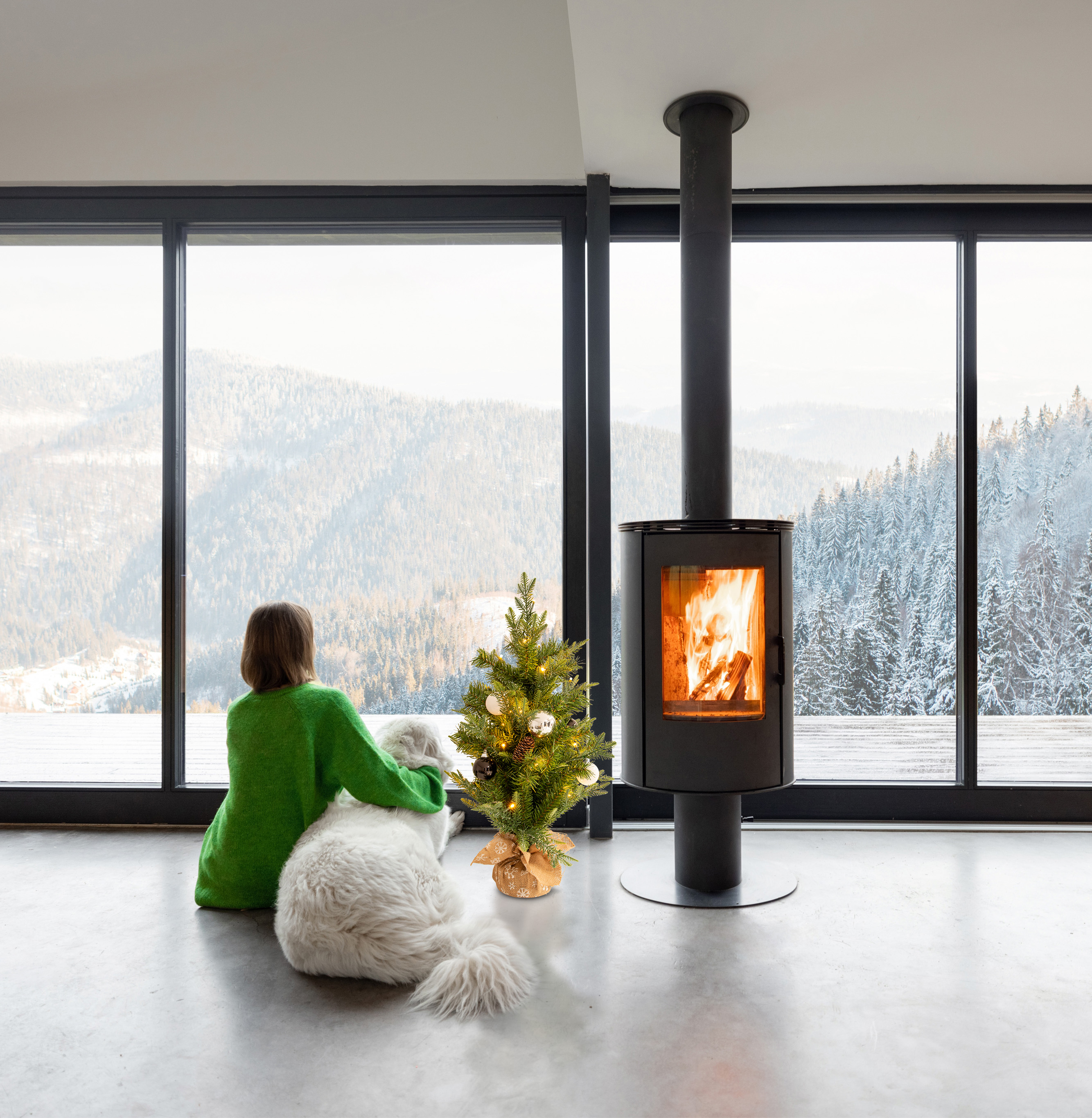 Eine Frau und ein Hund sitzen vor einem Fenster, Berge draußen sichtbar. Ein Kamin und ein Baum sind in der Nähe.