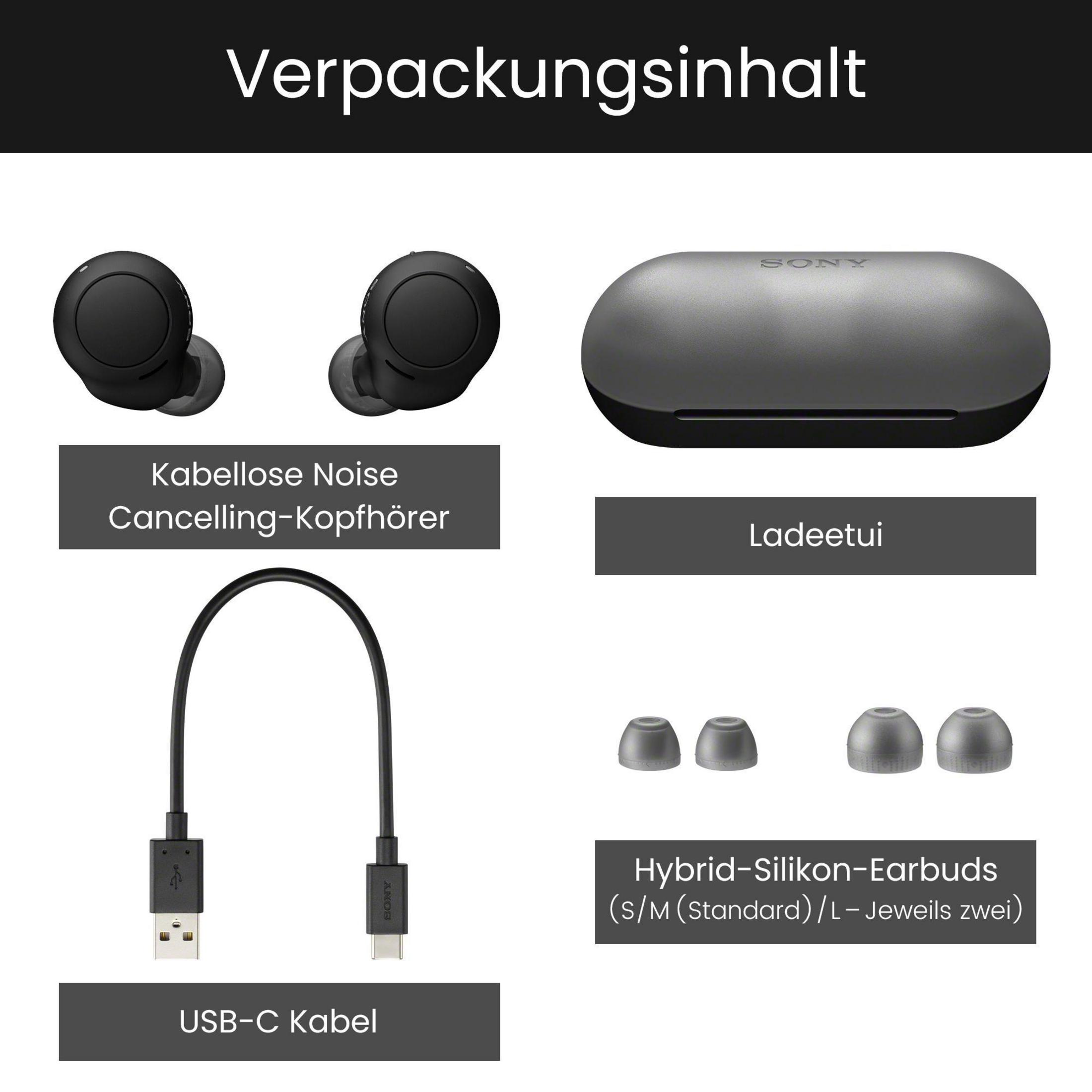 La imagen muestra componentes de auriculares: auriculares, estuche de carga, cable USB y almohadillas de silicona.