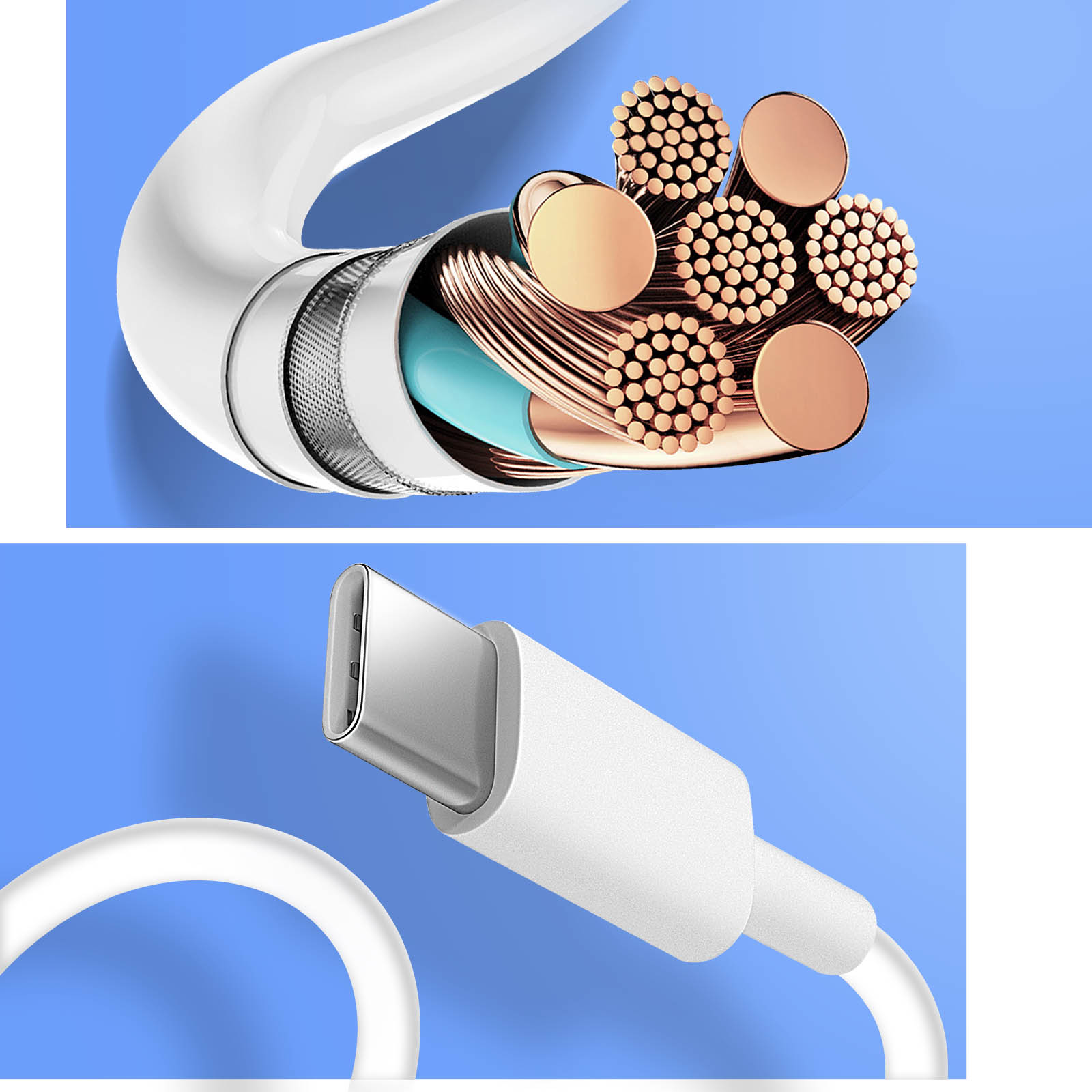 Un câble USB-C blanc coupé. Les fils intérieurs sont visibles et le câble est sur un fond bleu.