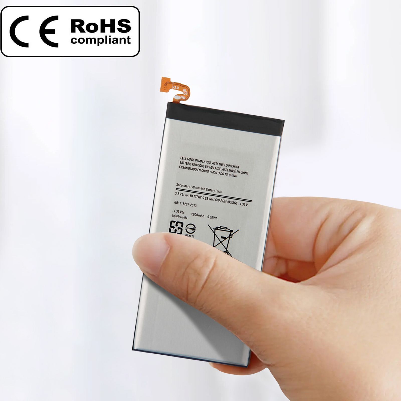 Hand hält einen Akku mit Text und Stecker. RoHS-konformes Logo links oben.
