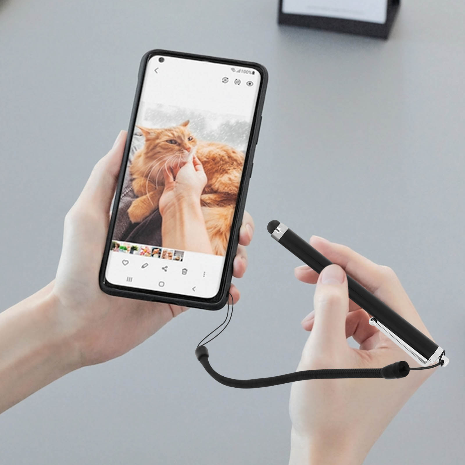 Person hält ein Telefon mit Katzenbild. Auch ein Stift wird gehalten.