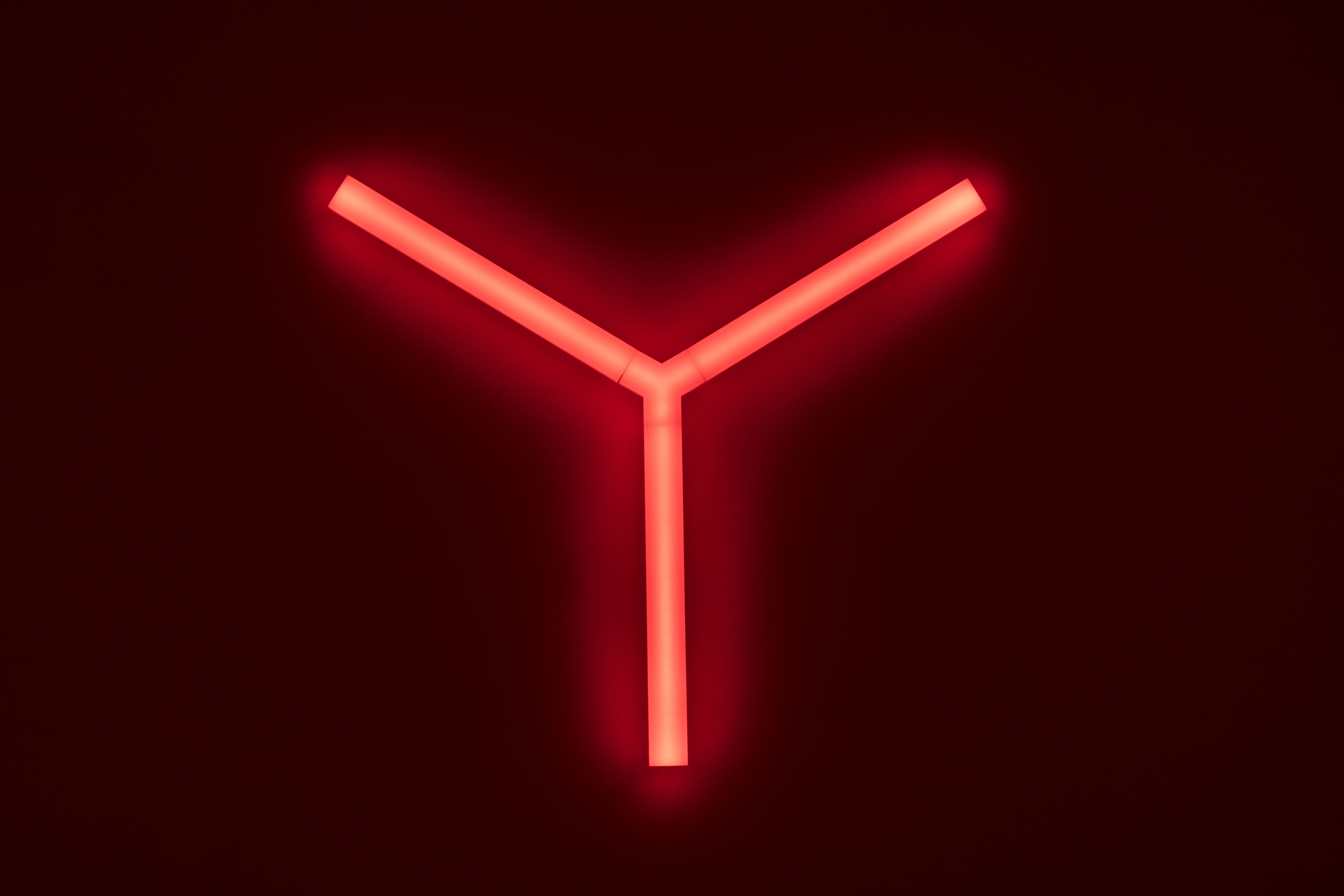 Rotes Neon-Y-förmiges Licht auf dunkelrotem Hintergrund. Das Licht ist hell und gleichmäßig.
