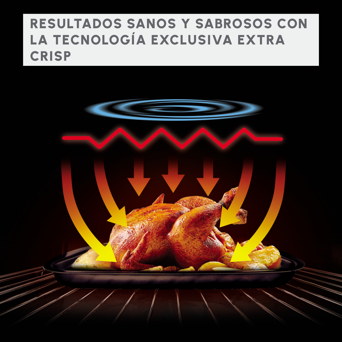 Pollo arrosto in forno con frecce che indicano il flusso di calore, con testo sopra.