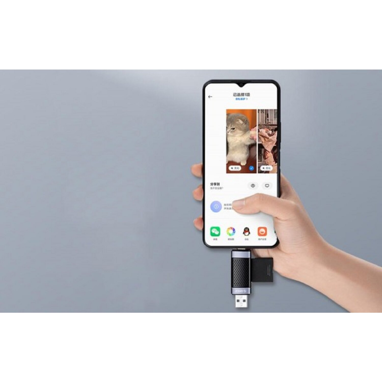 Mano che tiene un telefono con USB, mostra immagini di gatti.