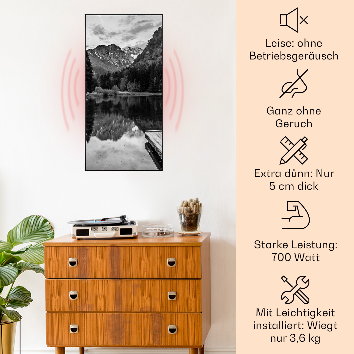 Schwarz-weiß Berglandschaftsbild an der Wand. Holzschrank darunter mit Dekoration. Schallwellen dargestellt.
