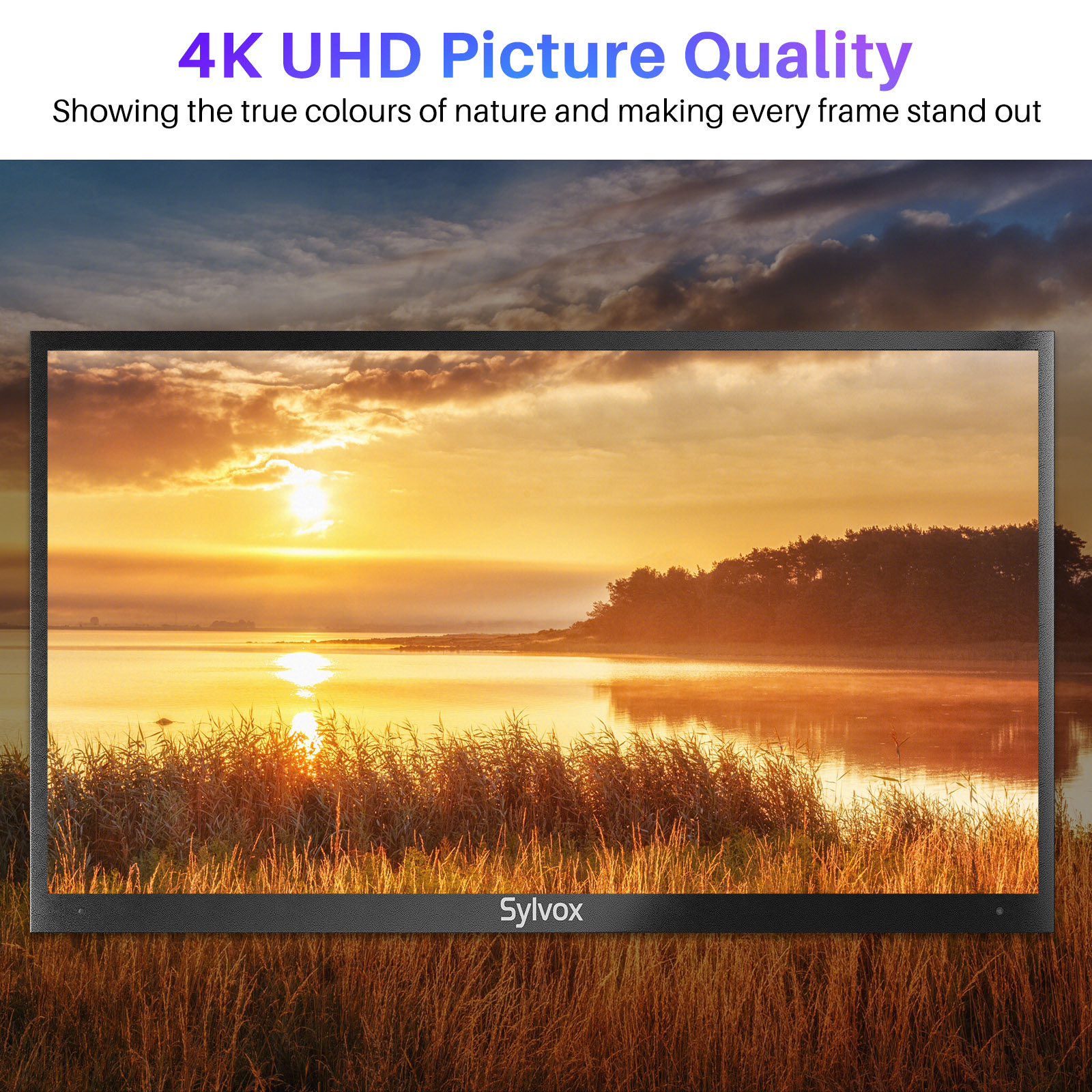 TV Outdoor Zoll HDR Pool SMART LED cm, (Flat, 65 SYLVOX / OT65A2KEGE-EU TV) 65 pro 4K, TV 165,1 Zoll