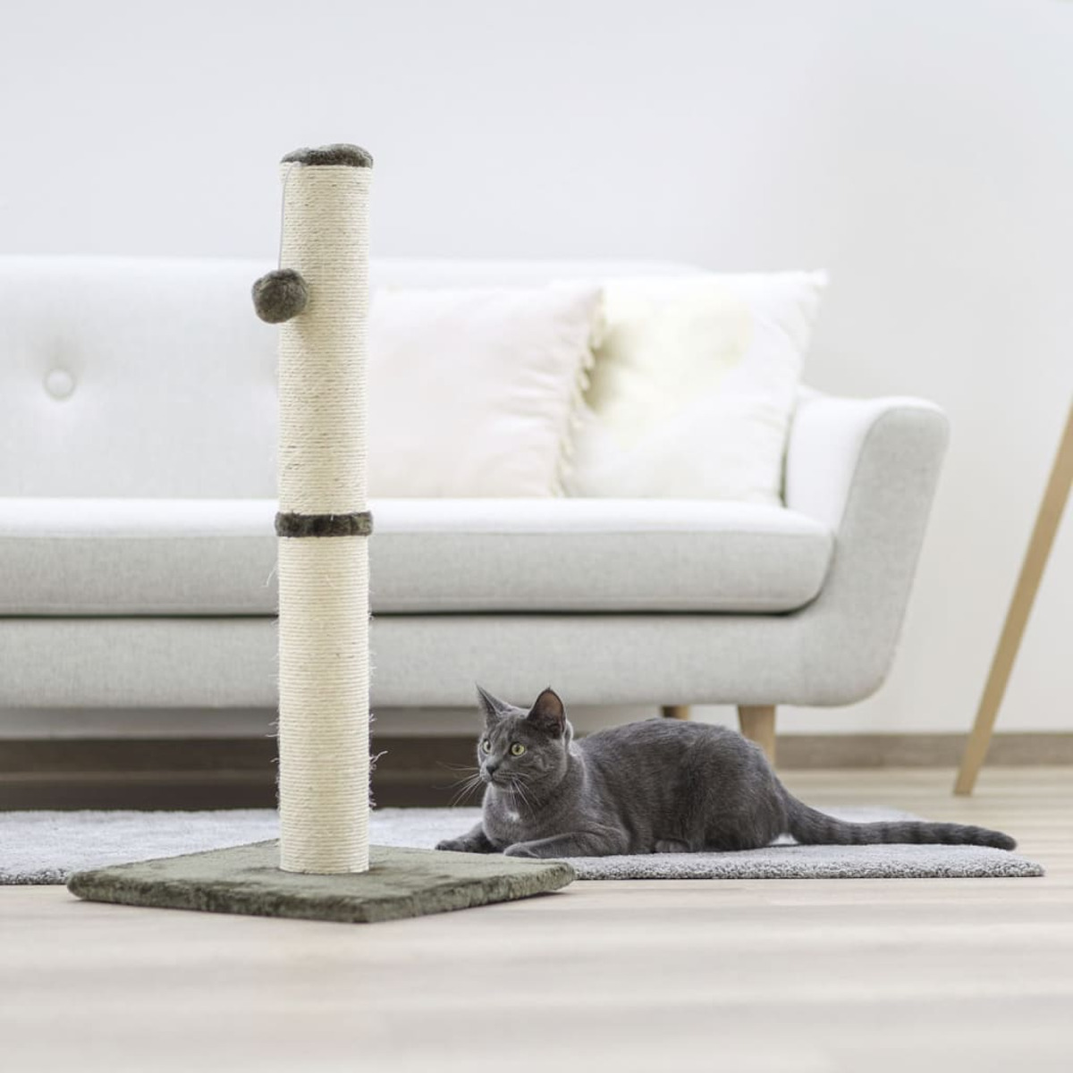Un gato gris tumbado en una alfombra junto a un rascador. Un sofá al fondo.