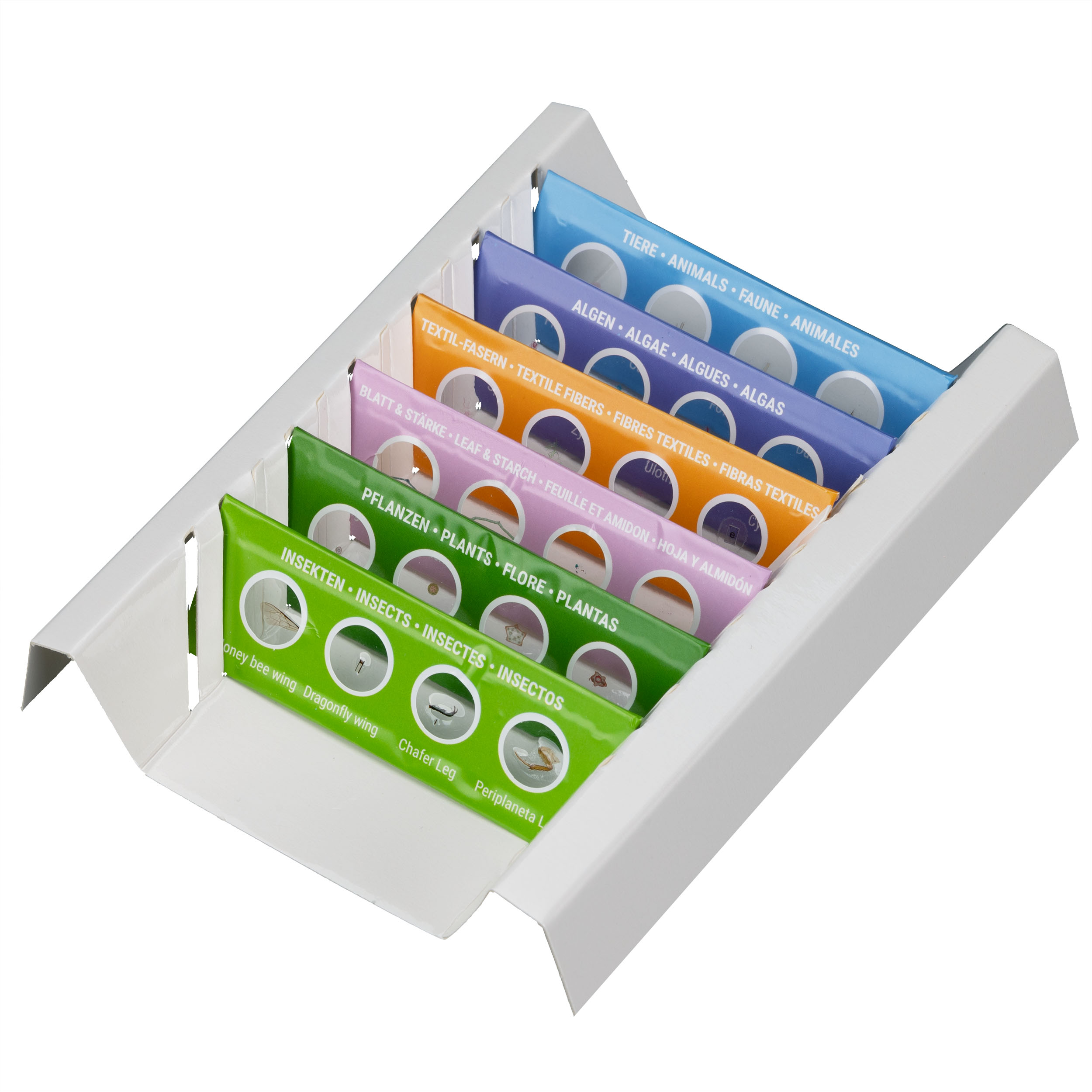 Un soporte blanco con portaobjetos de colores etiquetados para muestras de microscopio.