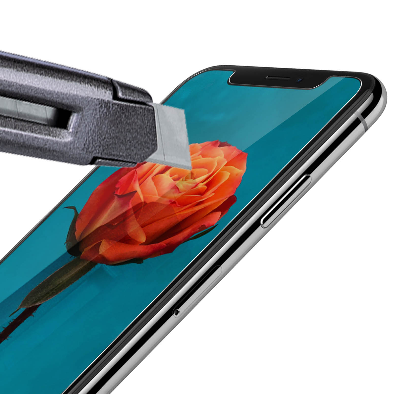 Un taglierino taglia una protezione schermo su un telefono, una rosa è sul display del telefono.