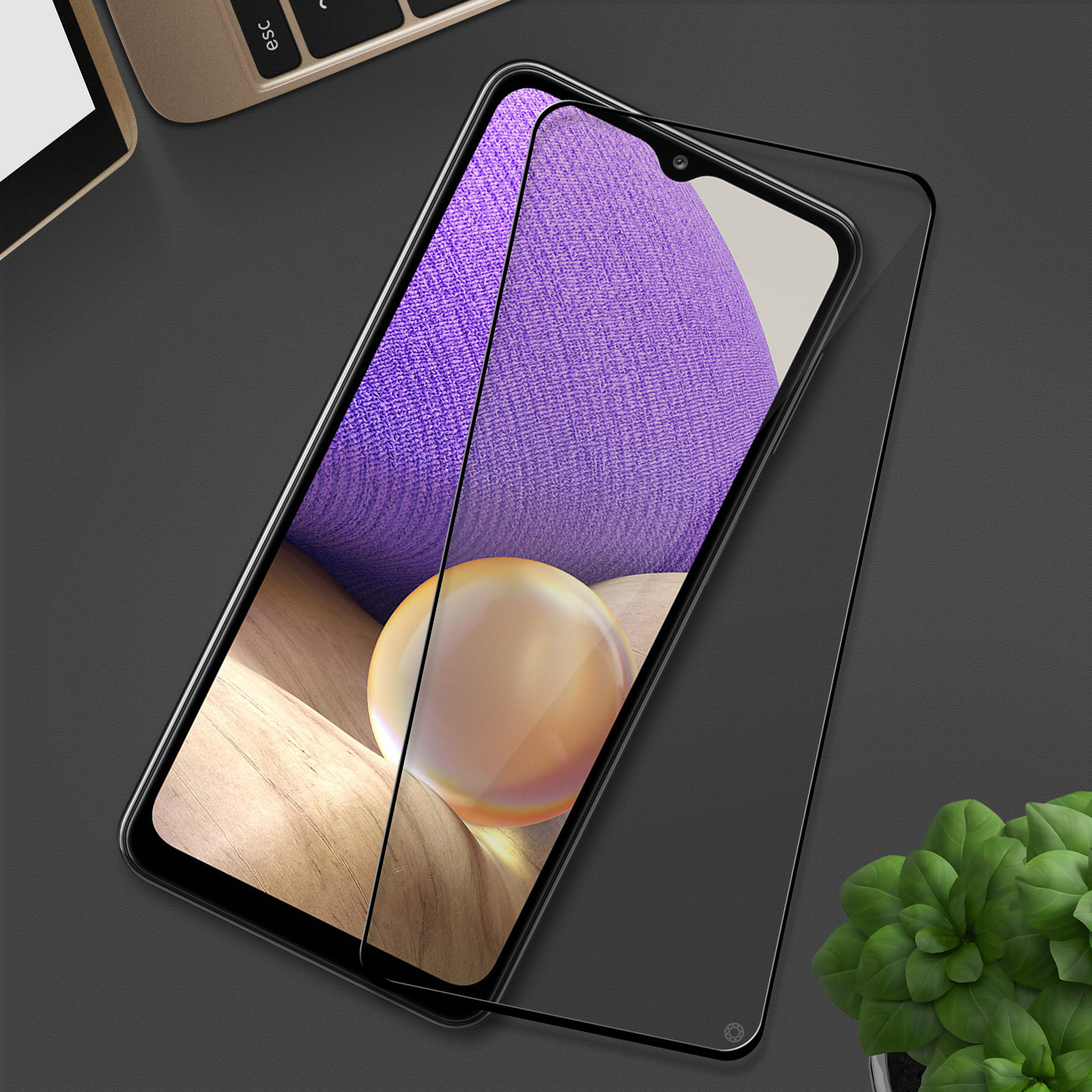 Smartphone avec protecteur d'écran appliqué. L'écran affiche un fond coloré avec une plante.