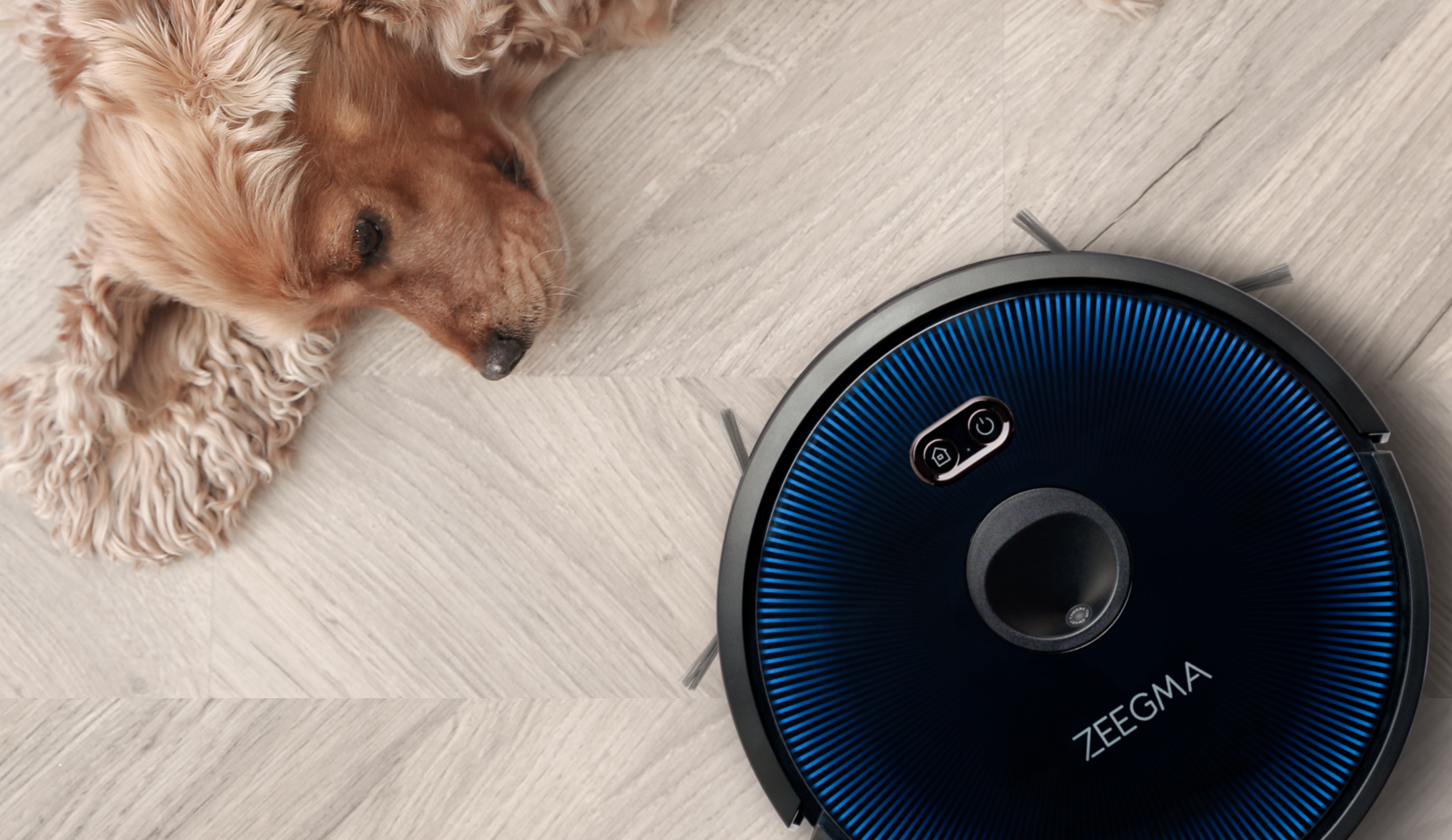 Pies i robot sprzątający na drewnianej podłodze.