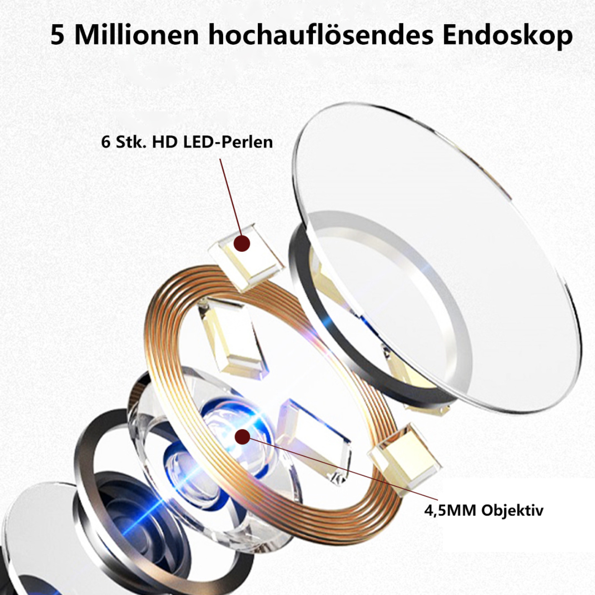 Endoskop mit internen Komponenten, transparent und braun.