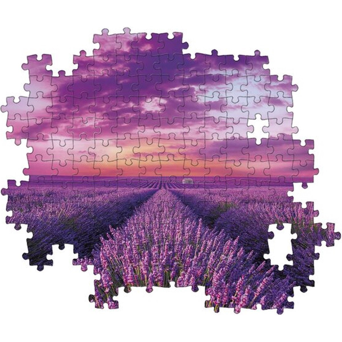 Puzzle Feld CLEMENTONI Lavendel 98450 (1000 Teile)