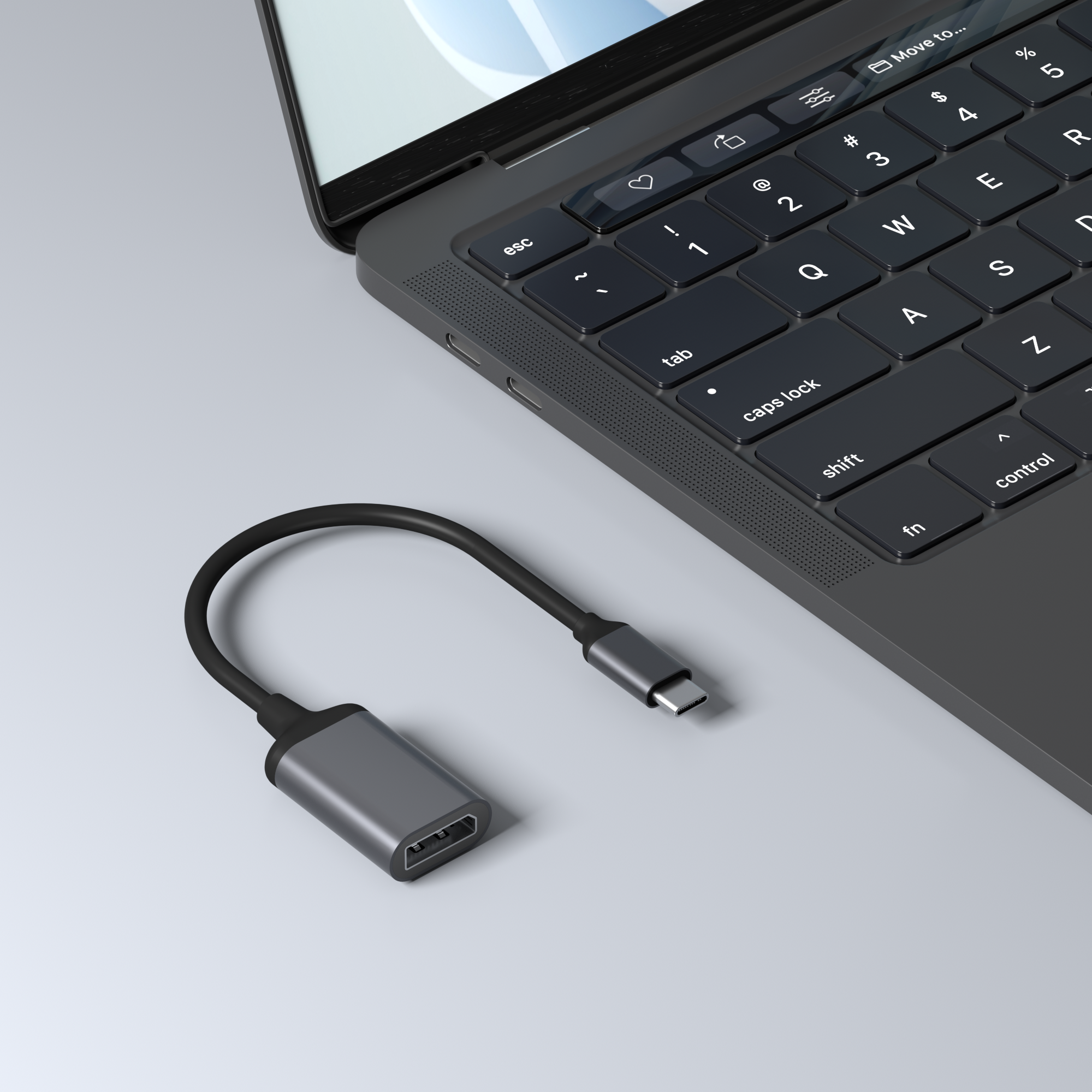 Space USB-C ROLIO Schwarz zu DisplayPort Adapter, adapter