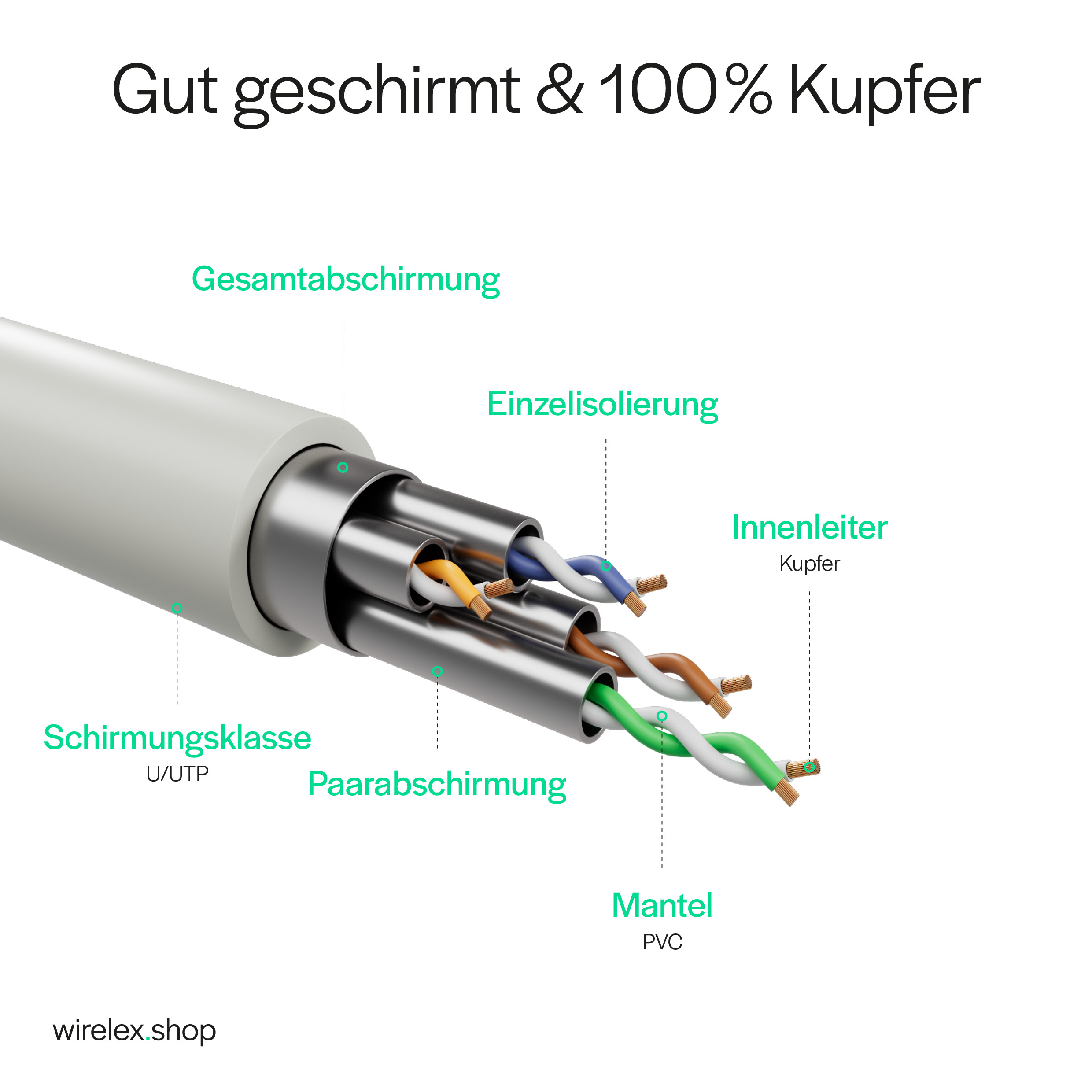 Ein Querschnitt eines Netzwerkkabels. Es zeigt die inneren Drähte und Schichten. Weißer Hintergrund.