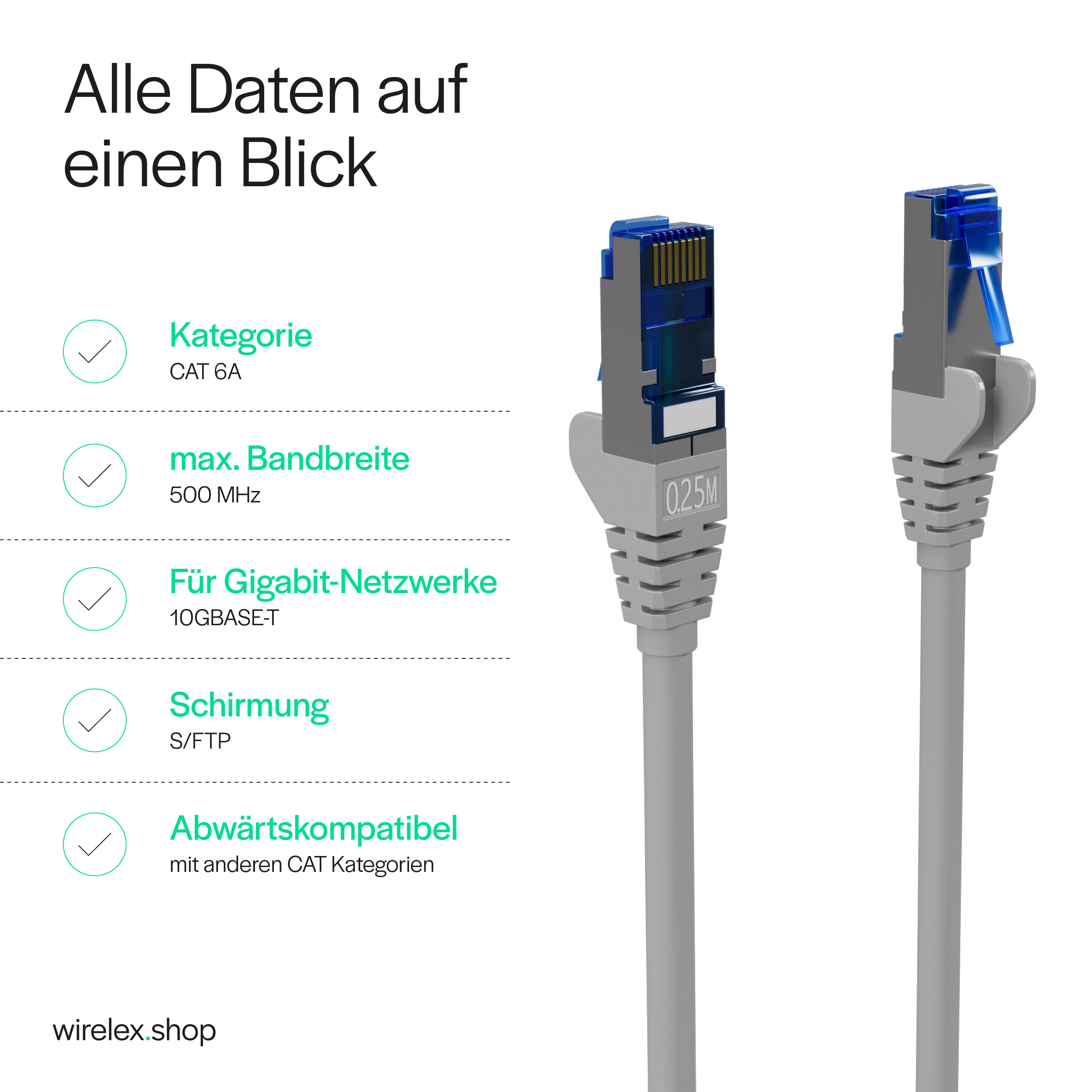 Zwei RJ45 Ethernet-Anschlüsse. Graue Kabel, blaue Stecker. Text: CAT 6A, 500 MHz, Gigabit, S/FTP.