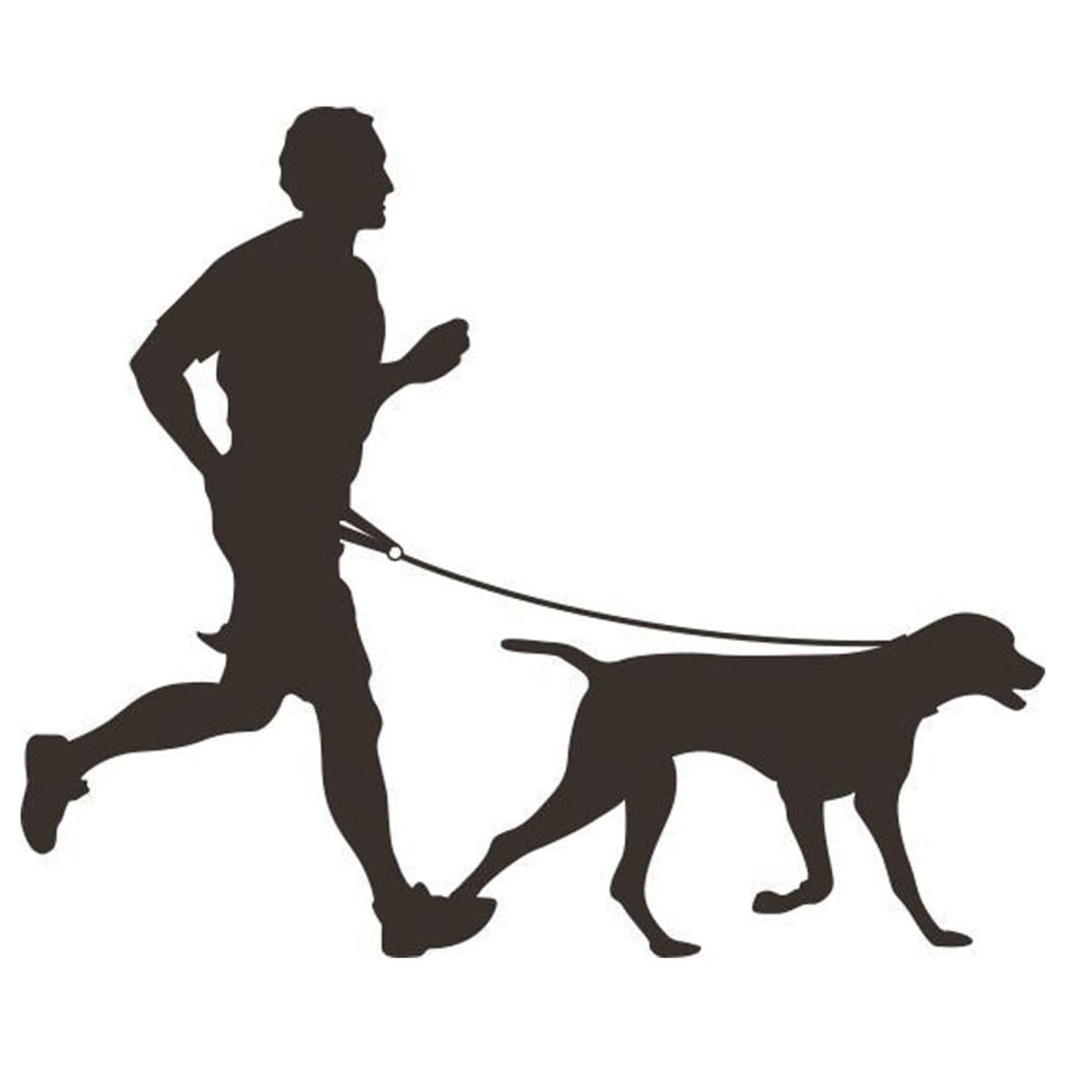 Silhouette einer Person, die mit einem Hund an der Leine läuft, vor weißem Hintergrund.