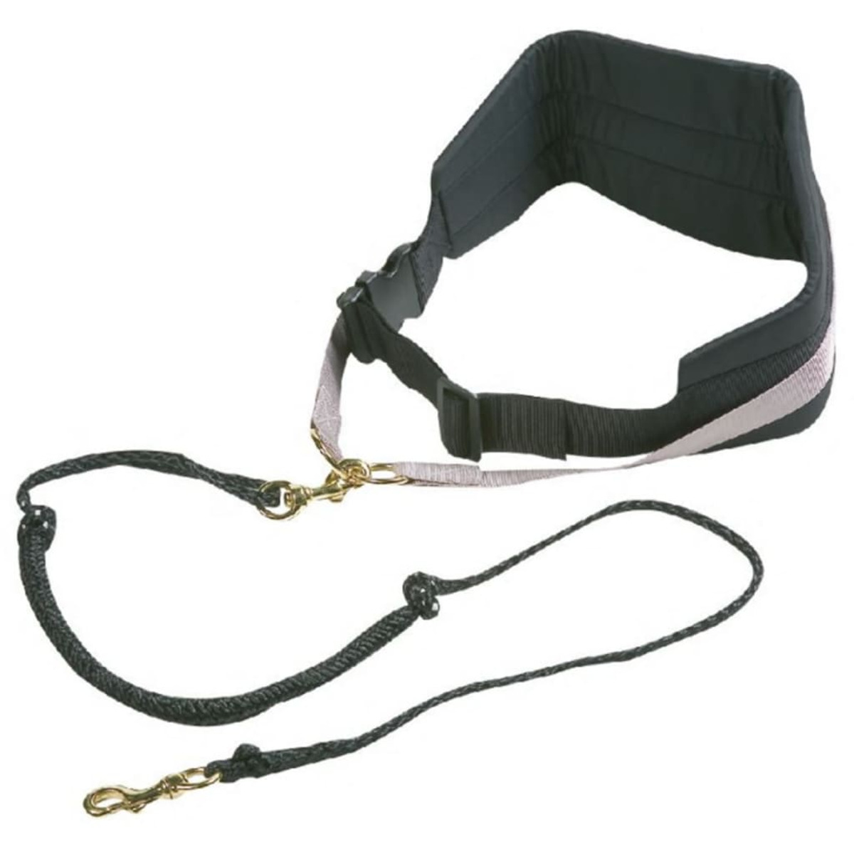 Schwarzer Hunde-Trainingsgürtel mit Leine, mit goldfarbenen Clips und weißem Hintergrund.