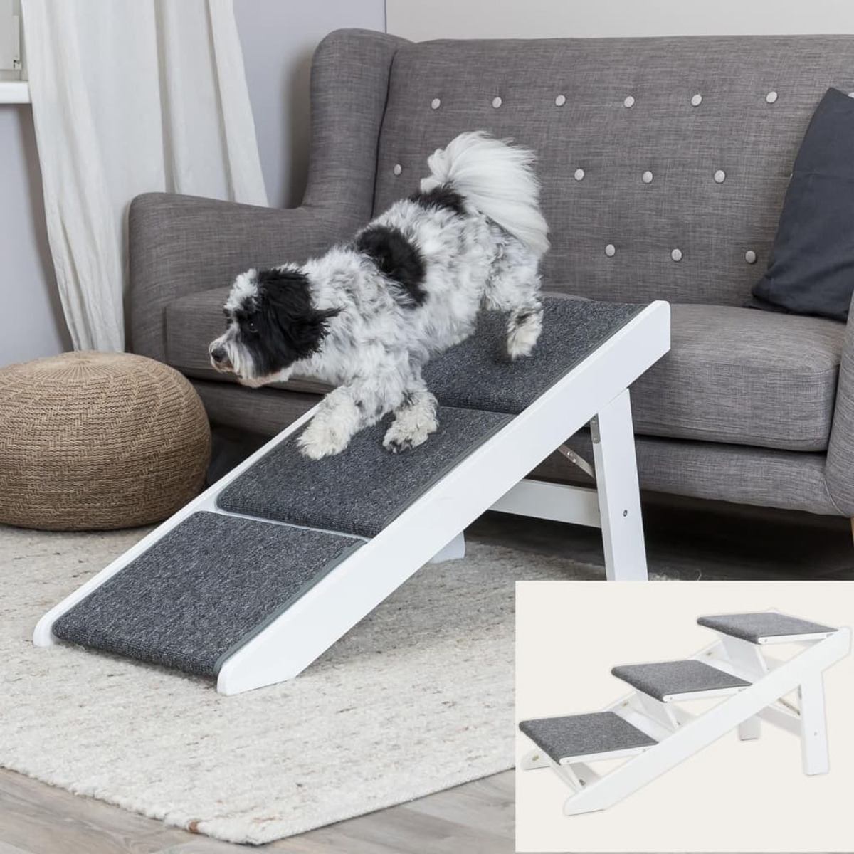 Ein kleiner Hund klettert eine weiße Hunderampe hinauf. Im Hintergrund ist eine graue Couch. Eine kleine Rampe wird gezeigt.