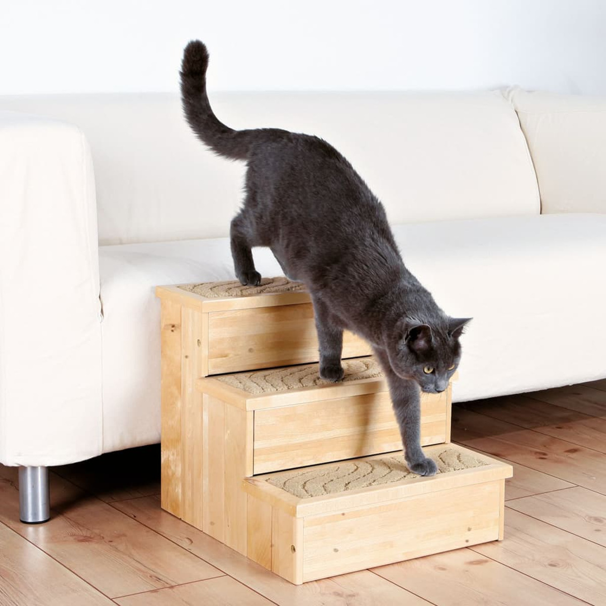 Un gato gris bajando escalones de madera, con un sofá blanco en el fondo.