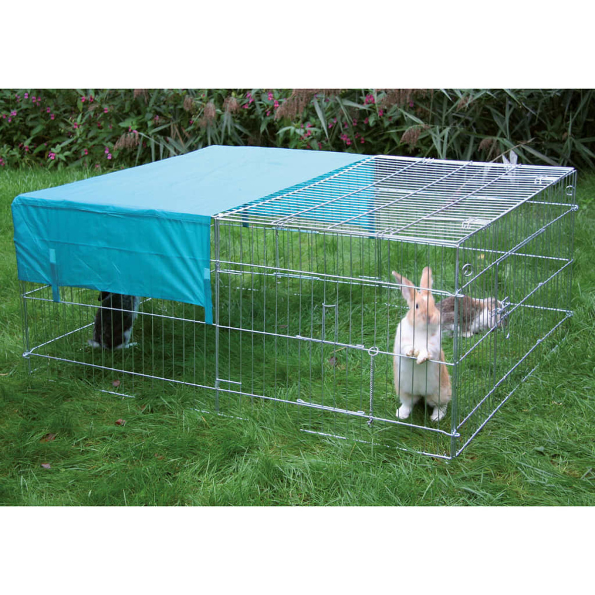 Kaninchenstall mit türkisblauem Schirm und Drahtgeflecht. Zwei Kaninchen sind auf Gras.