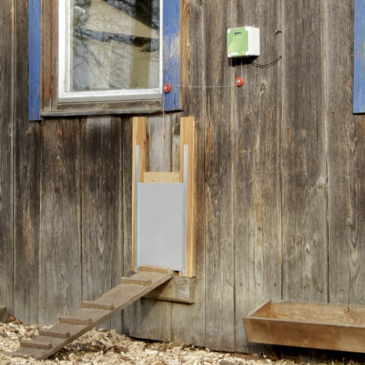 Hühnerstalltür in einer Holzwand, mit Rampe und Steuerbox.