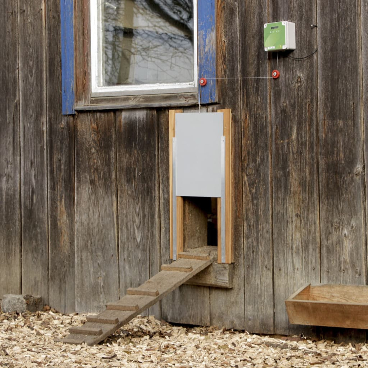 Eine Hühnerstalltür und -rampe an einem Holzgebäude. Eine Steuerbox ist montiert. Der Hintergrund ist eine Holzwand.