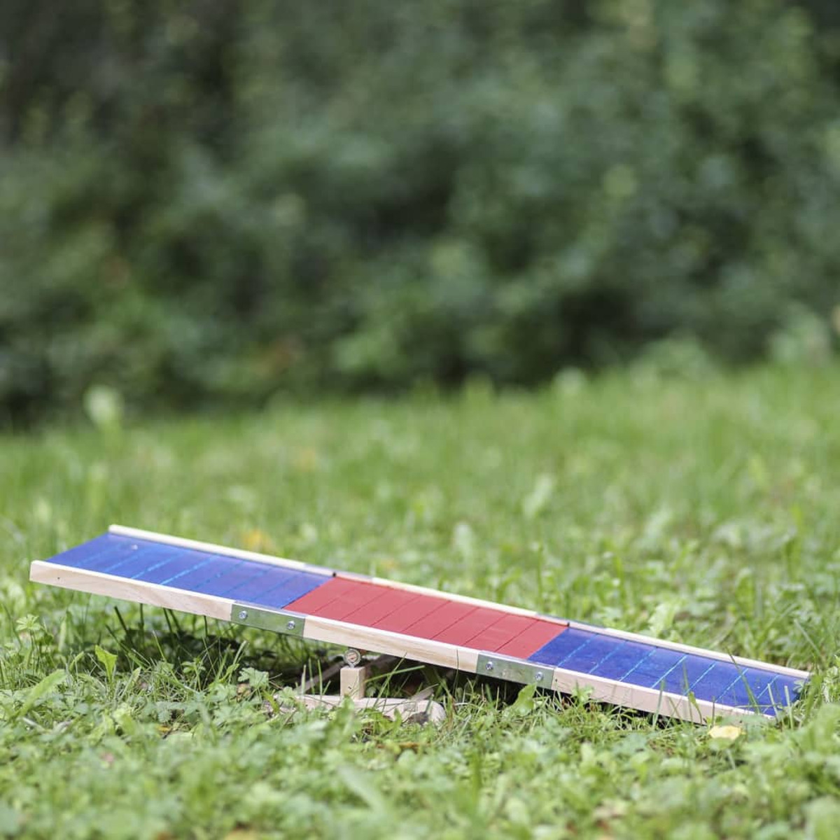 Eine hölzerne Hundewaage in einer grasbewachsenen Fläche. Sie hat blau und rot bemalte Abschnitte.
