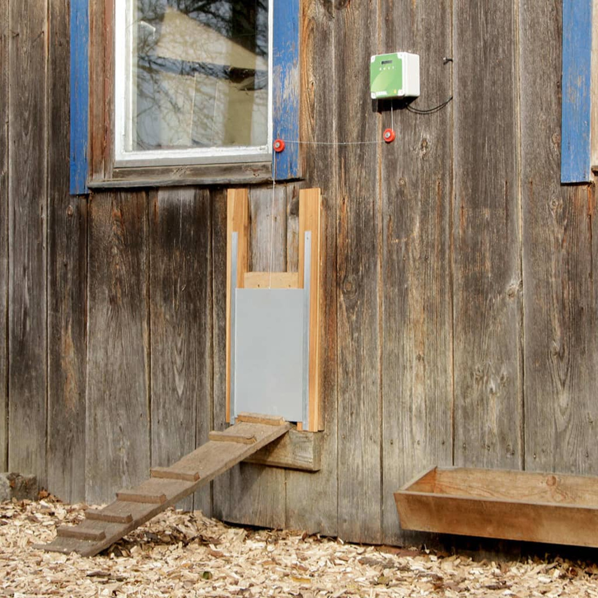 Esterno di un edificio in legno usurato con porta per polli e rampa che vi conduce.