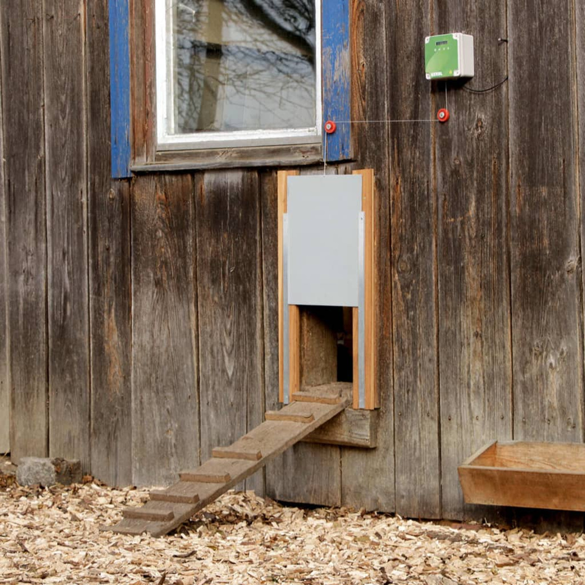Una porta per pollaio in legno con rampa. Una scatola di controllo è montata sulla parete in legno.