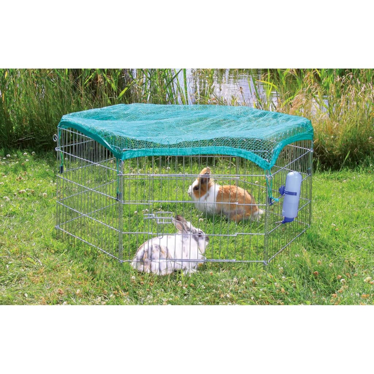 Zwei Kaninchen in einem Drahtkäfig. Ein tealfarbenes Netz bedeckt die Oberseite. Wasserflasche ist an der Seite befestigt.