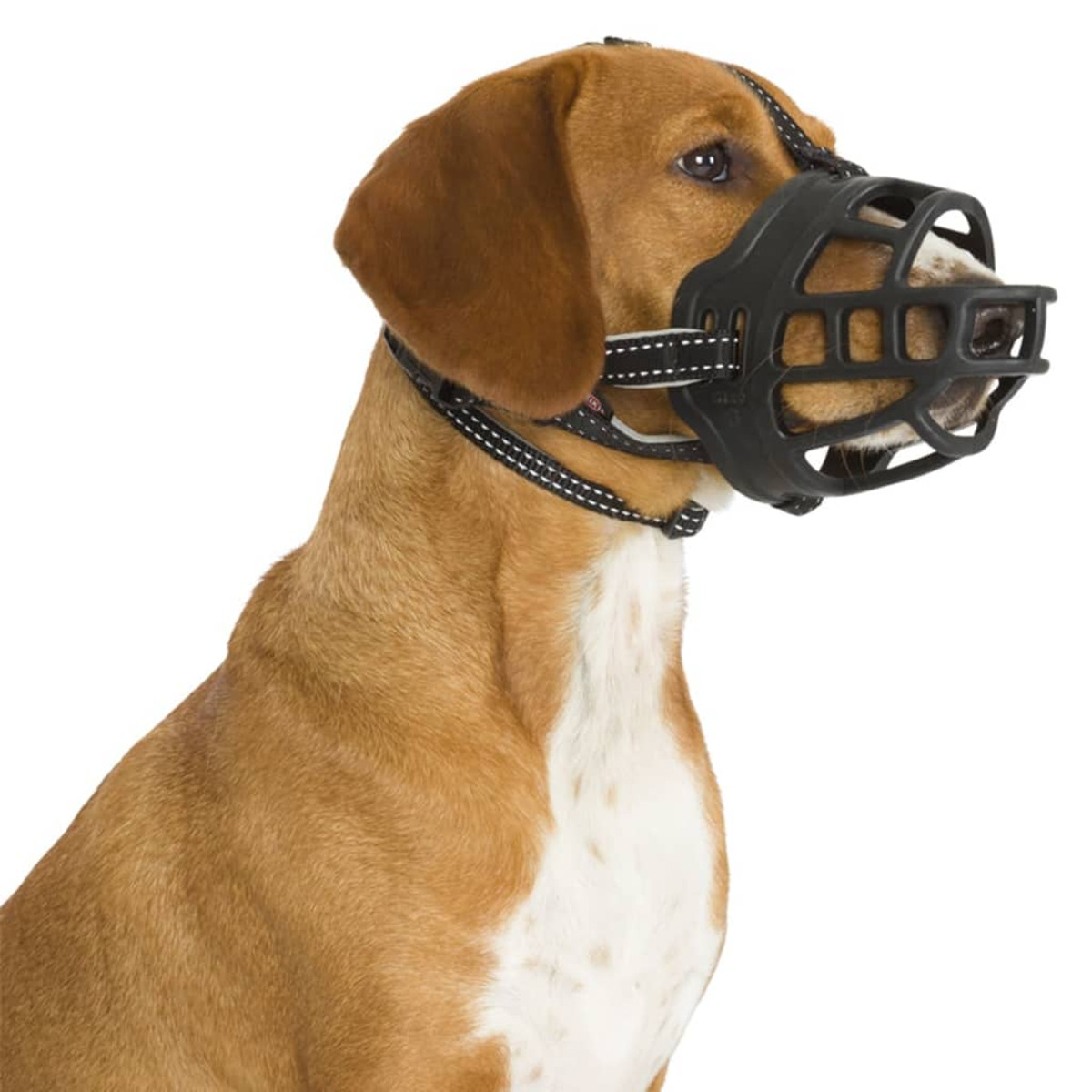 Ein brauner Hund mit schwarzem Maulkorb. Der Maulkorb hat ein korbartiges Design mit Halsriemen.