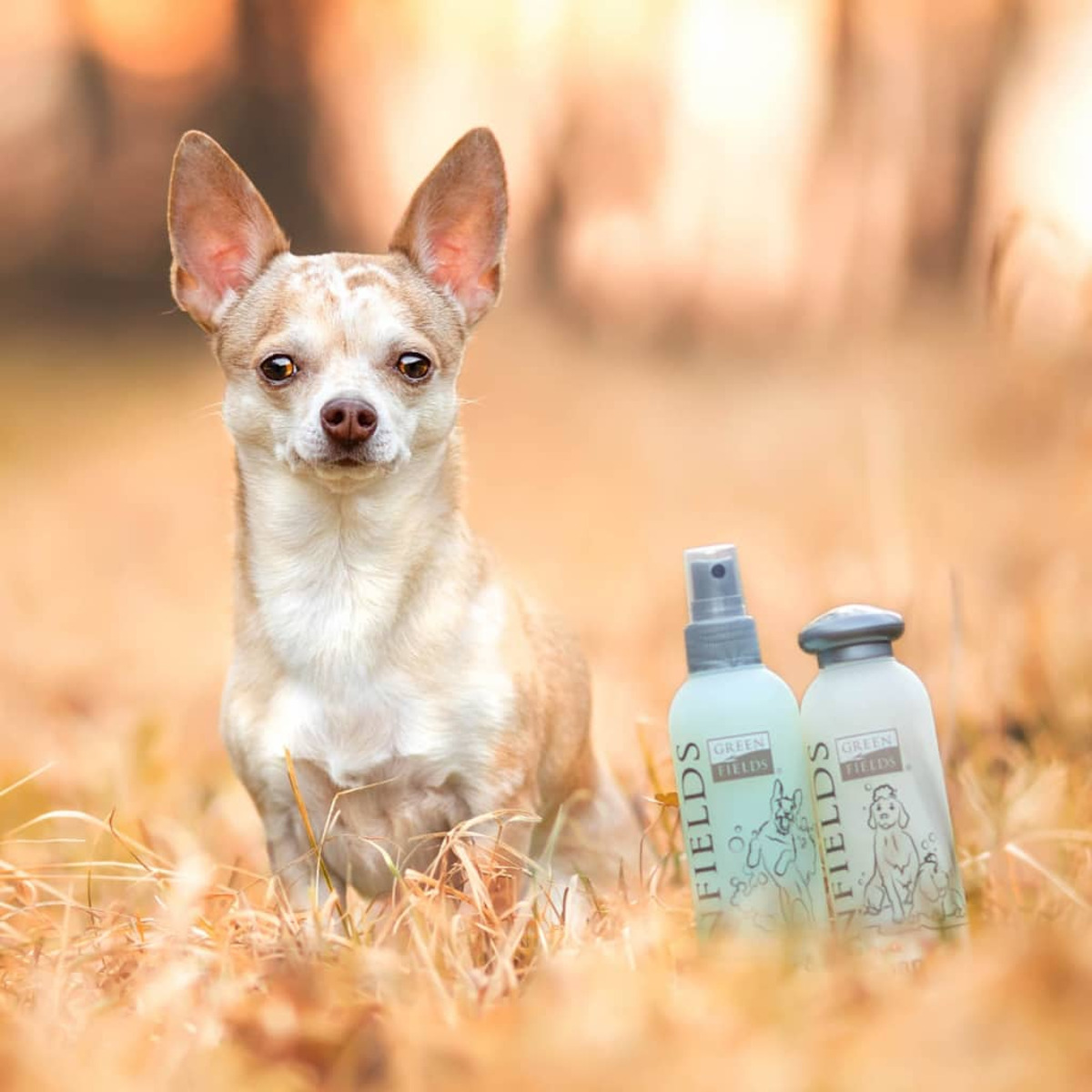 Un cagnolino seduto sull'erba con due bottiglie di spray per cani accanto.