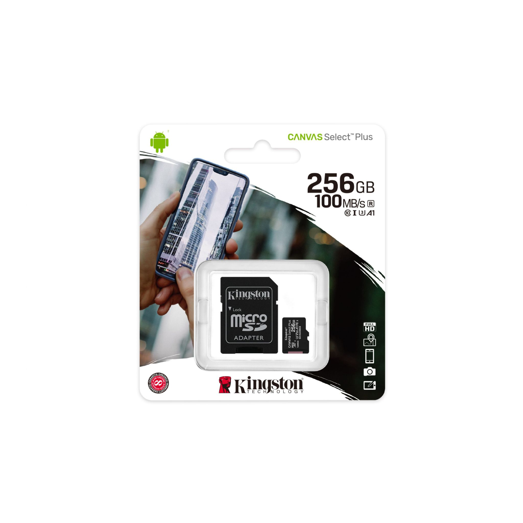 GB, 256 Speicherkarte, KINGSTON SDCS2/256 100 GB, Micro-SD MB/s