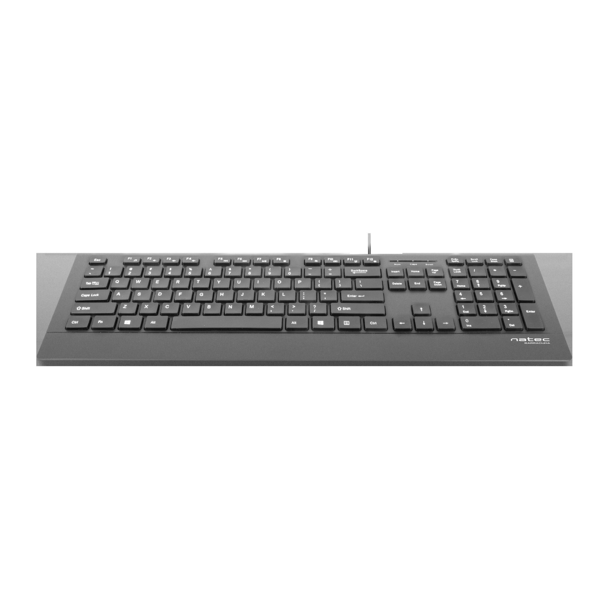 Grey computer keyboard with white keys. A standard layout, flat design.