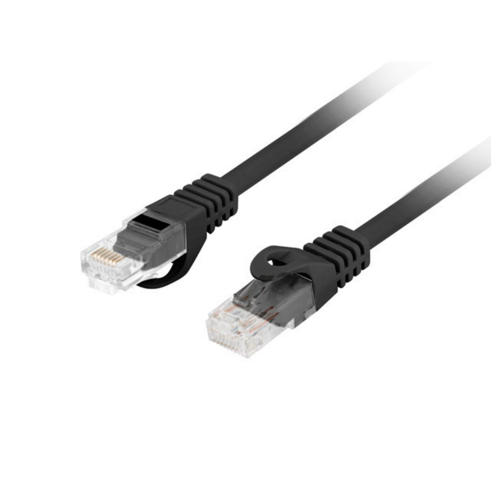 Câble Ethernet noir avec connecteurs aux deux extrémités. Le fond est blanc.